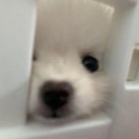 ㅈㅇ