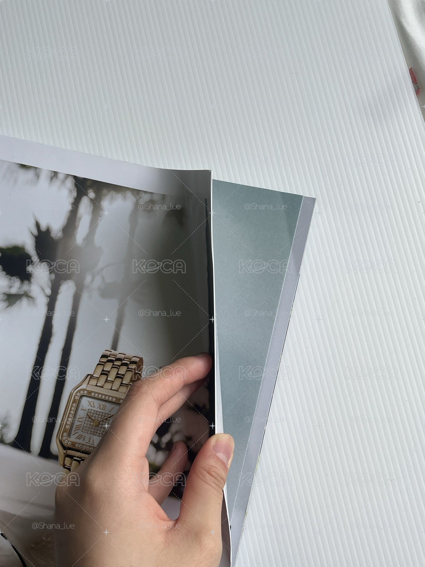 奎雜誌/有摺痕