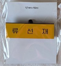 柳善宰名牌