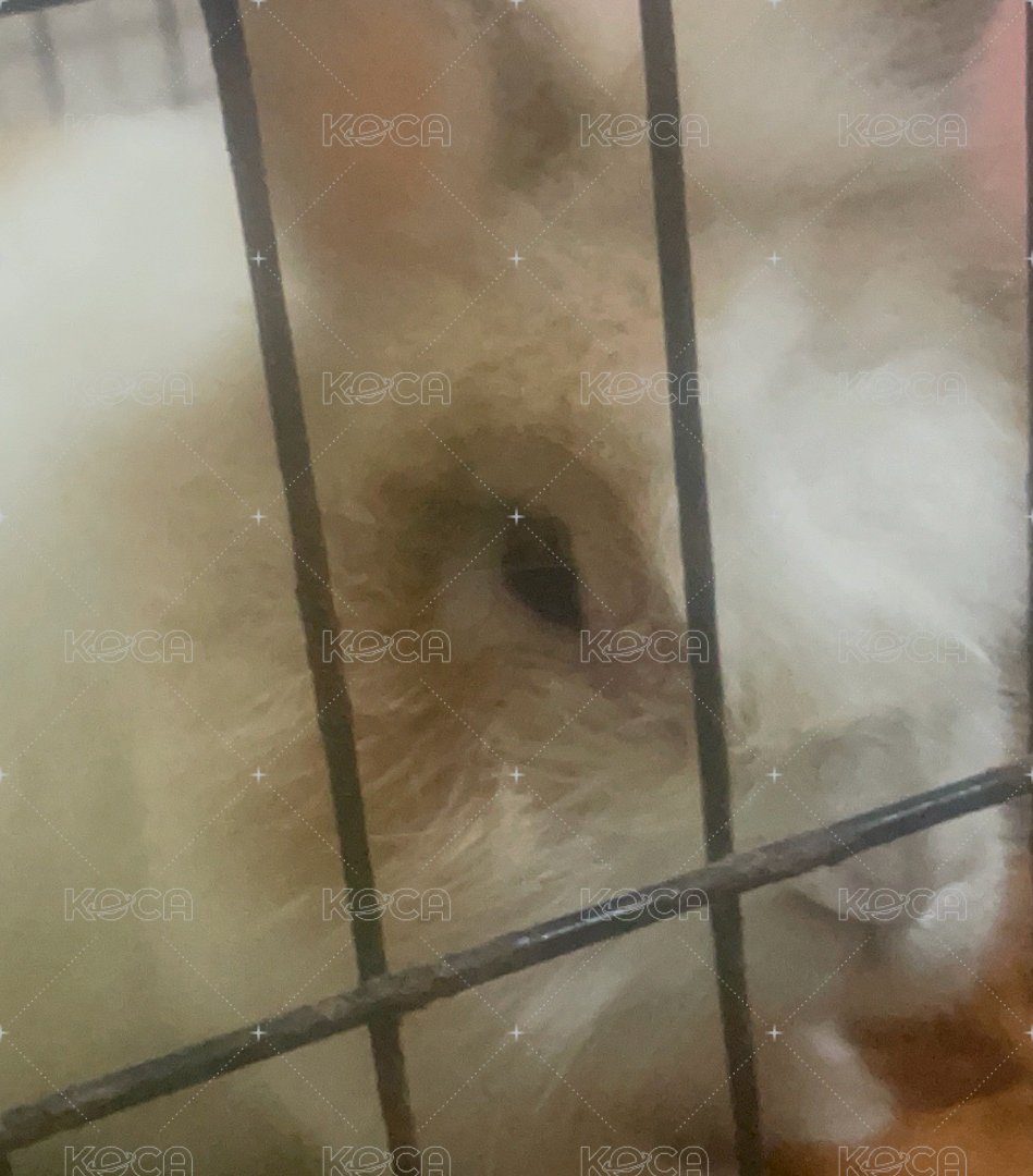 非賣品勿下單 下單我將寄空包🏚️