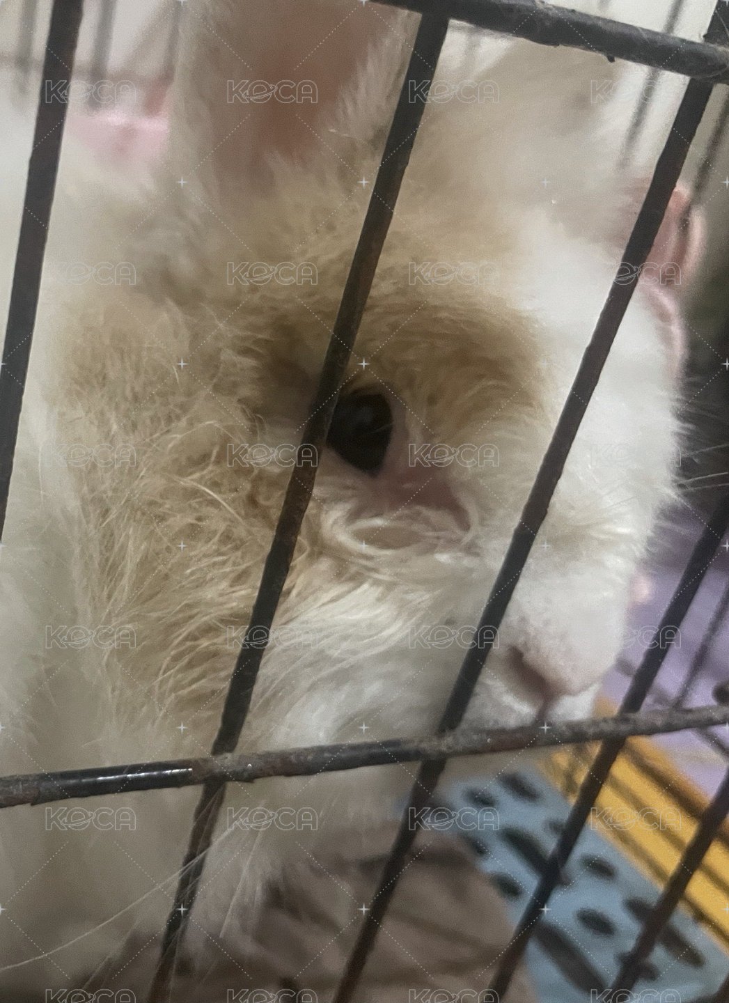 非賣品勿下單 下單我將寄空包🏚️