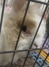 非賣品勿下單 下單我將寄空包🏚️