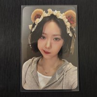 小熊飛