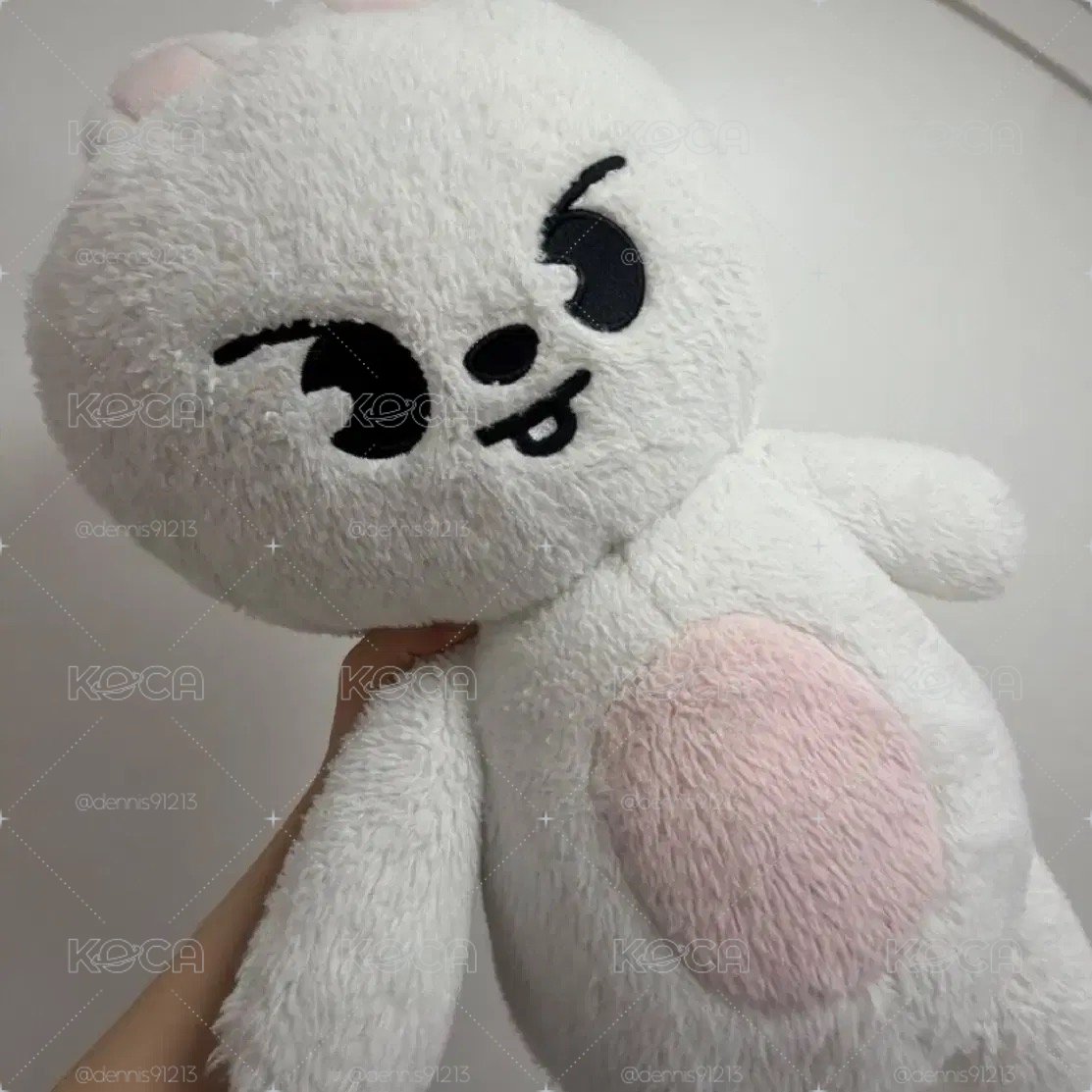 SKZOO 泰迪 旻