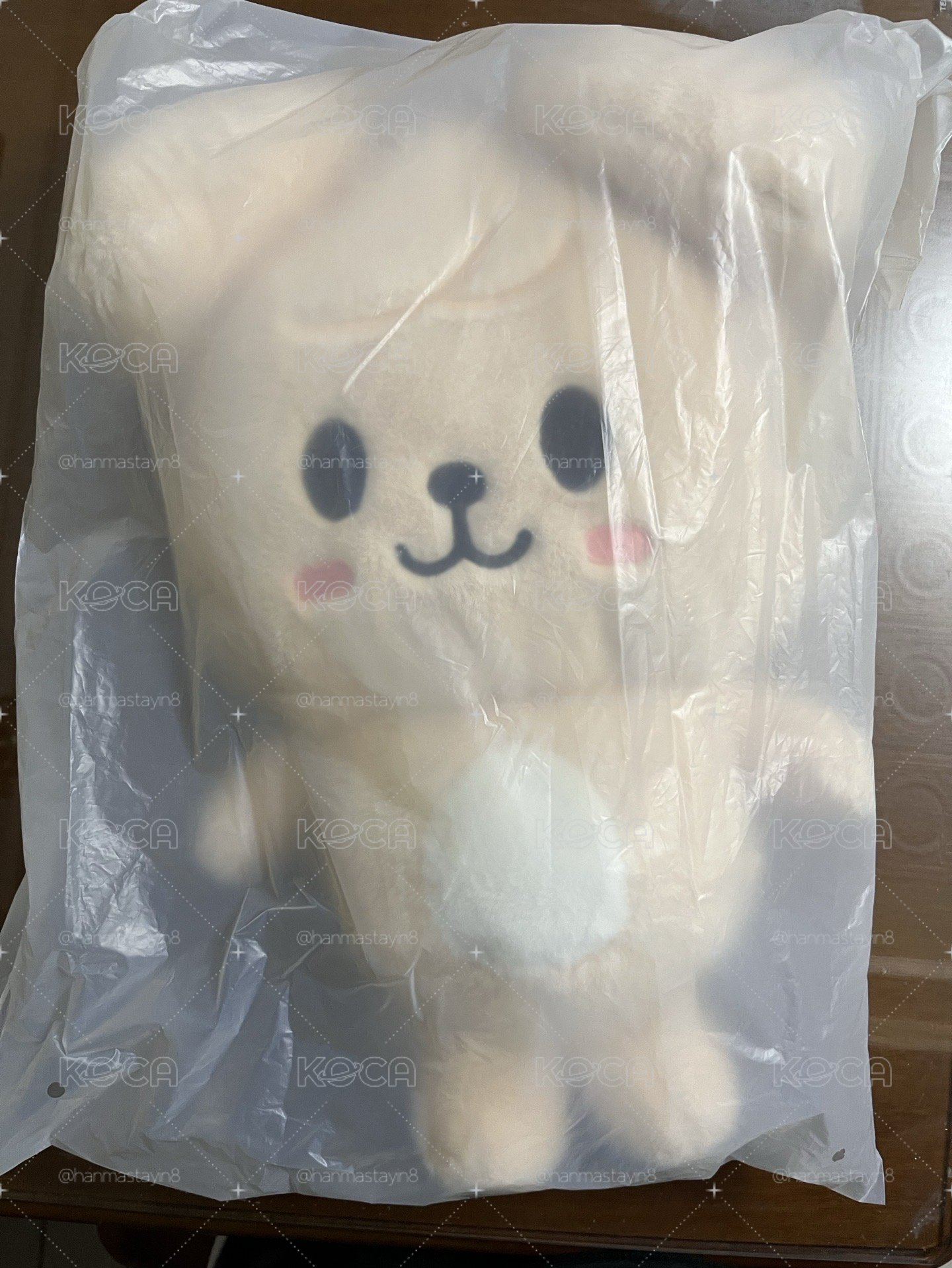 現貨，全新未拆玟後背包