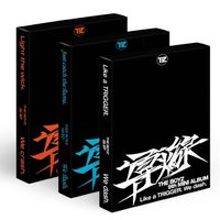 TRIGGER (導火線) 電子專 