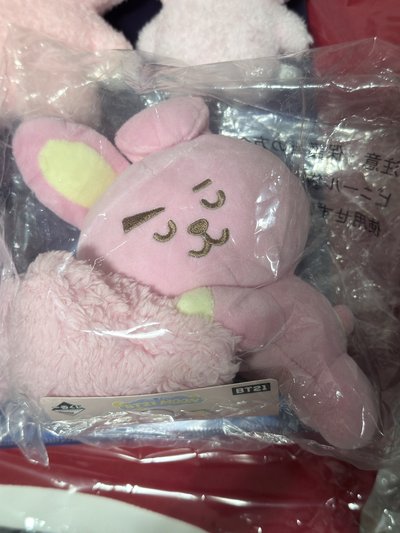 （現貨整圖出 可當日寄出）BTS JUNGKOOK 田柾國 cooks bt21 娃娃 小旗子 徽章 一番賞