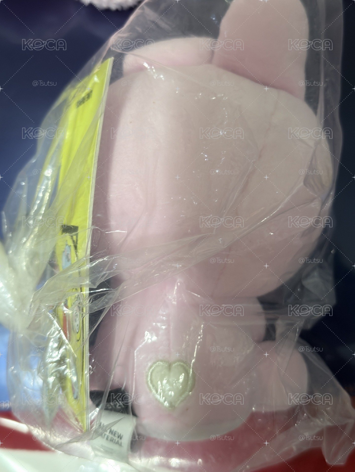 （現貨整圖出 可當日寄出）BTS JUNGKOOK 田柾國 cooks bt21 娃娃 小旗子 徽章 一番賞