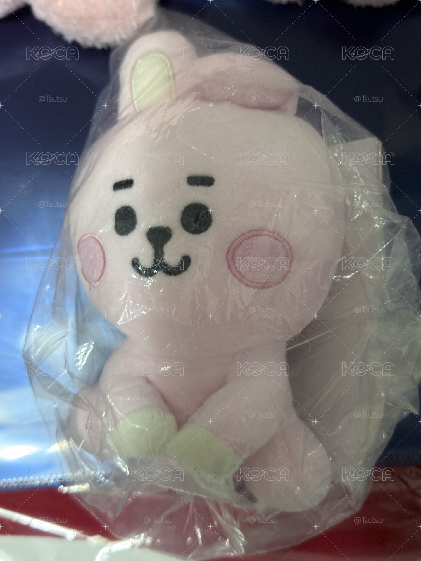 （現貨整圖出 可當日寄出）BTS JUNGKOOK 田柾國 cooks bt21 娃娃 小旗子 徽章 一番賞