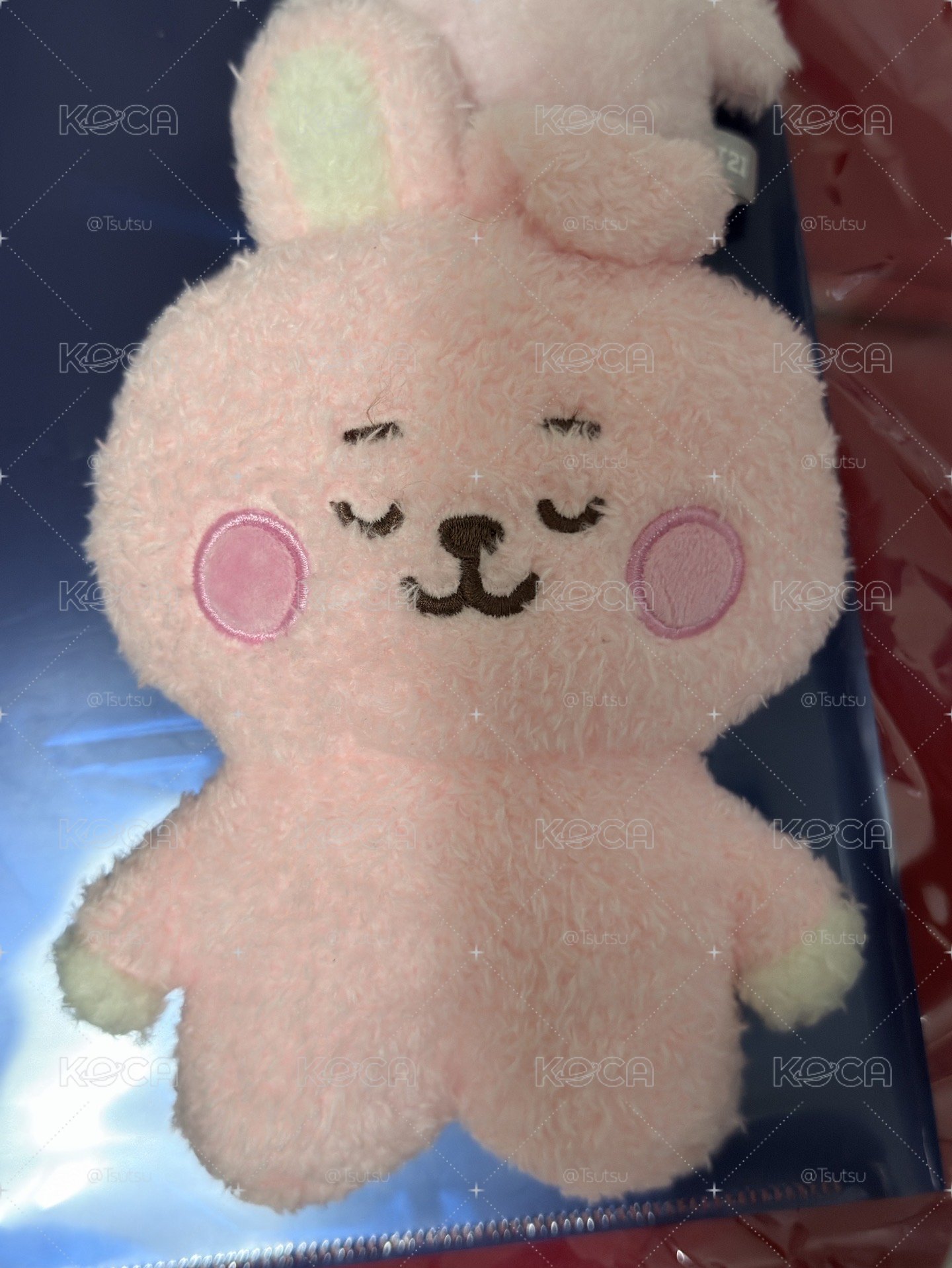 （現貨整圖出 可當日寄出）BTS JUNGKOOK 田柾國 cooks bt21 娃娃 小旗子 徽章 一番賞