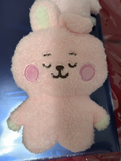 （現貨整圖出 可當日寄出）BTS JUNGKOOK 田柾國 cooks bt21 娃娃 小旗子 徽章 一番賞