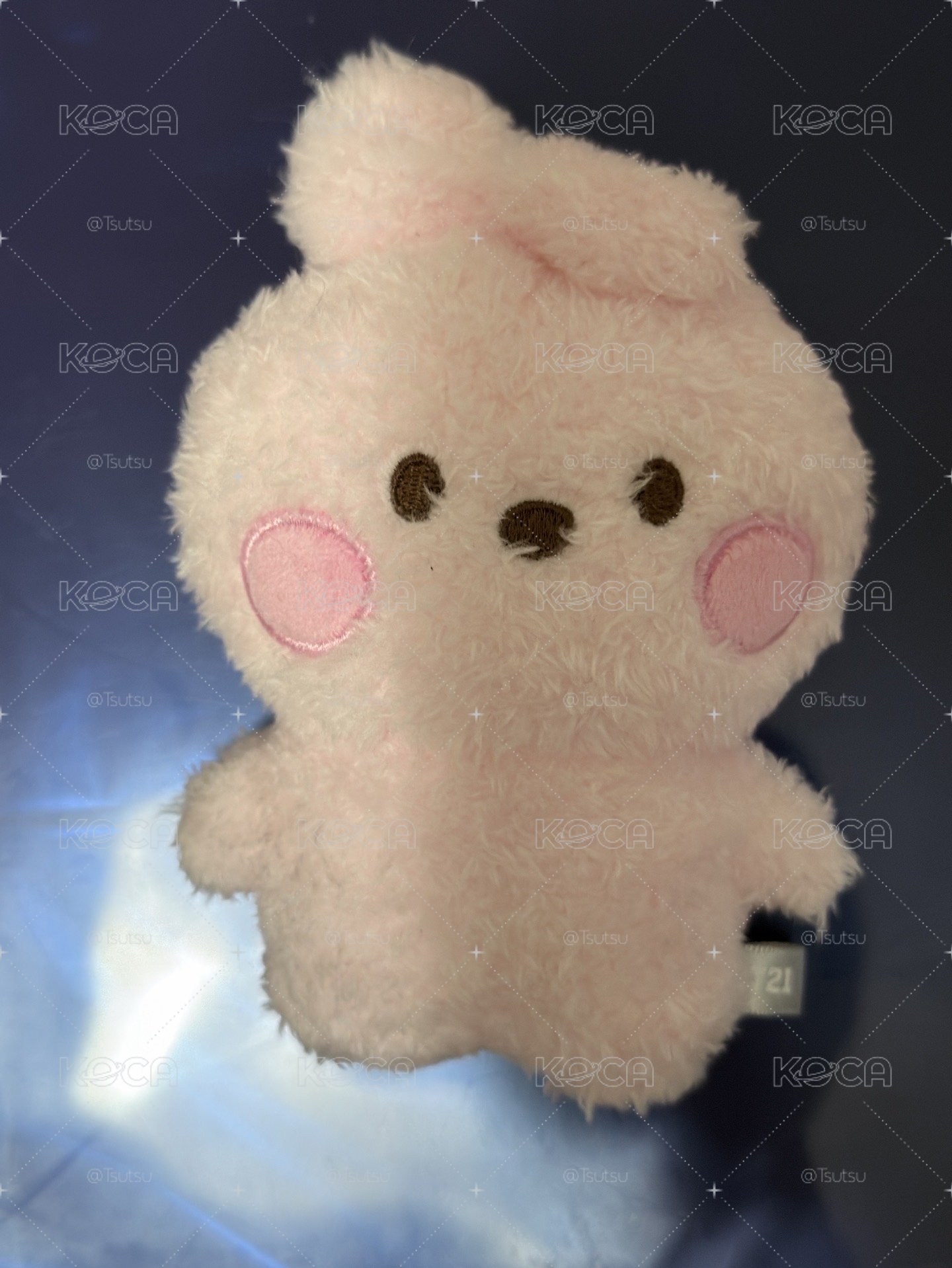 （現貨整圖出 可當日寄出）BTS JUNGKOOK 田柾國 cooks bt21 娃娃 小旗子 徽章 一番賞