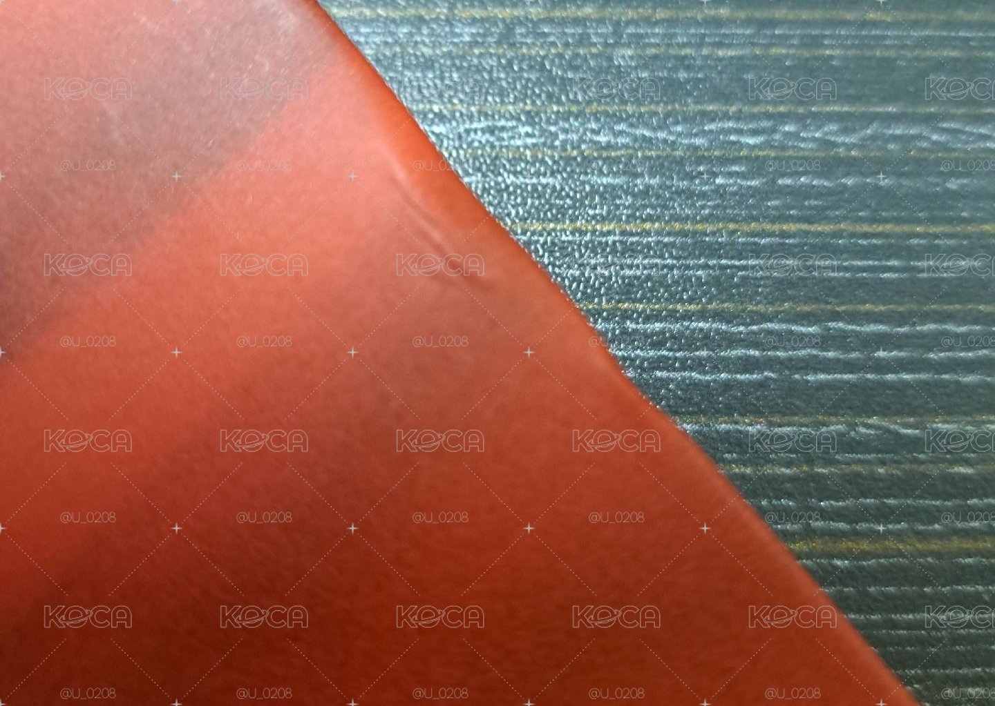 南優鉉PB WHITREE版全專