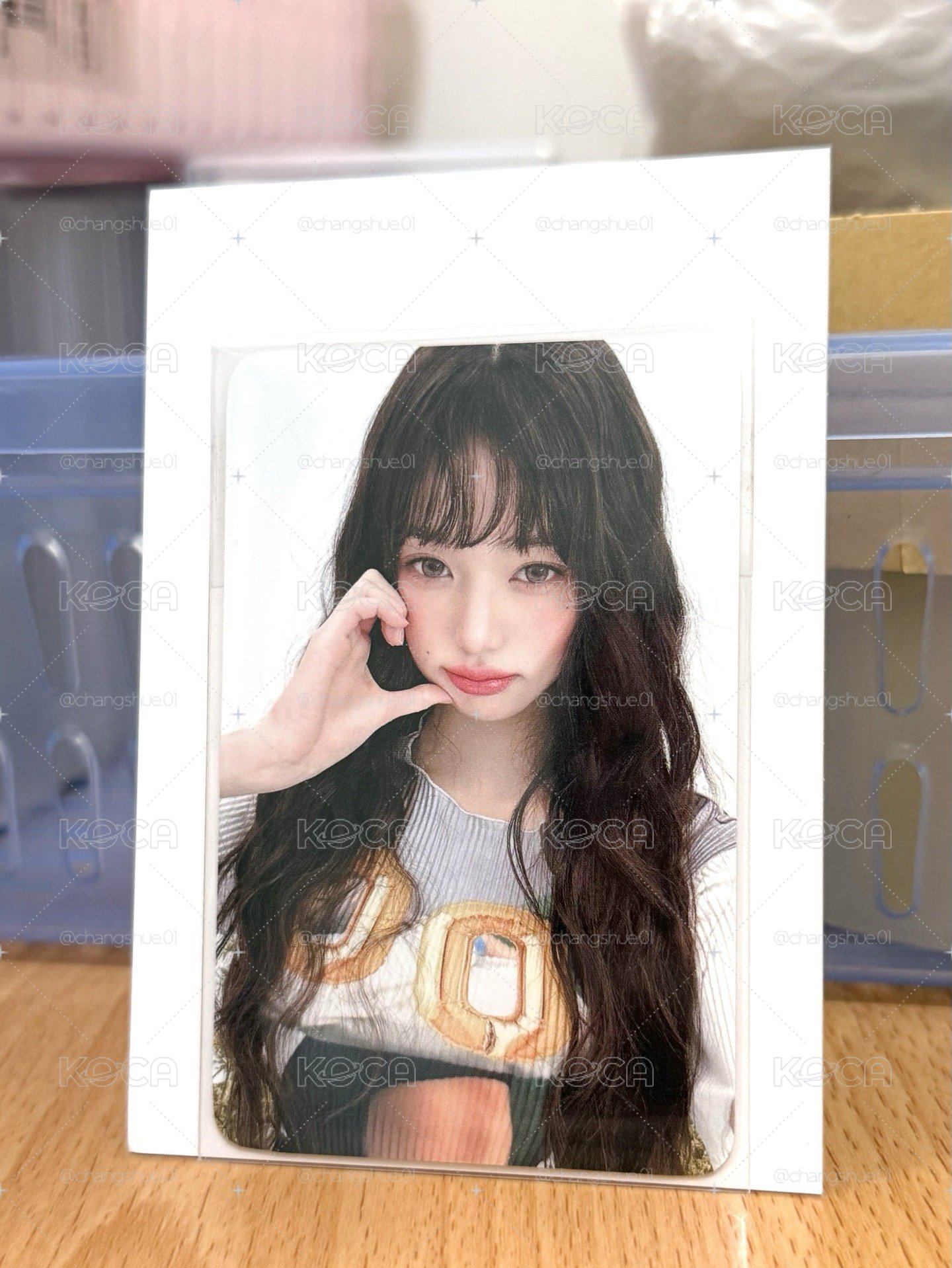 🍋現貨🍋員 Hapa Kristin 代言卡