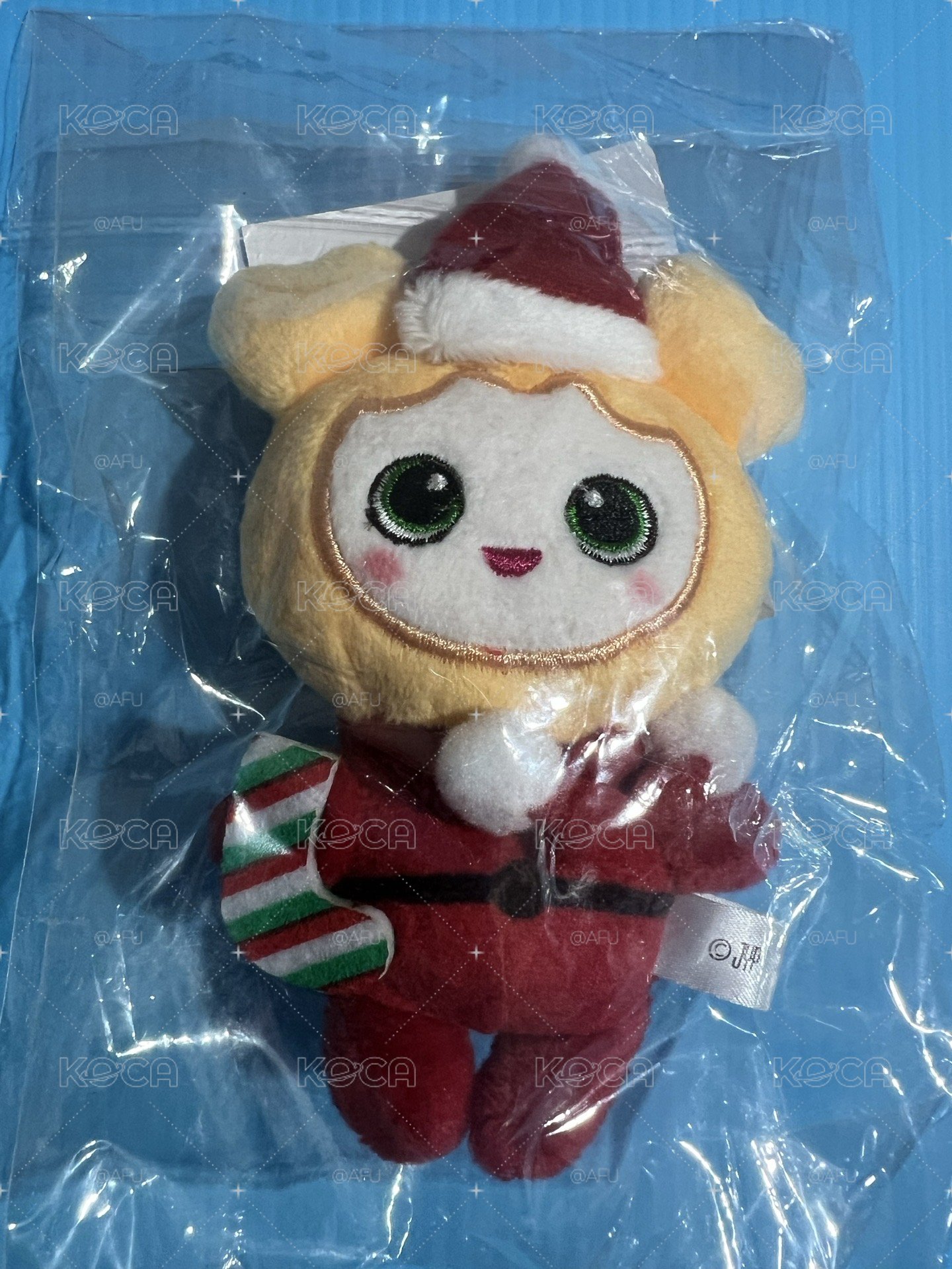 聖誕志效
