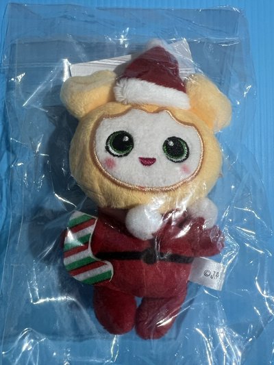 聖誕志效