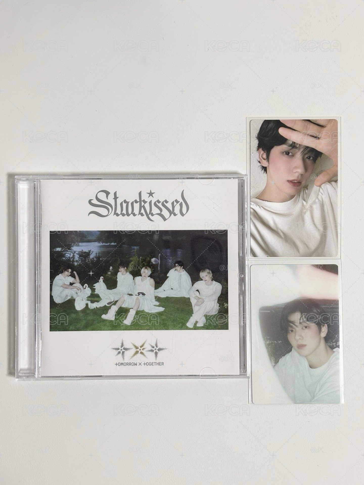 starkissed 彬通常盤