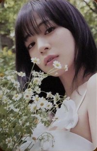24‘夏日寫真 隨機卡 