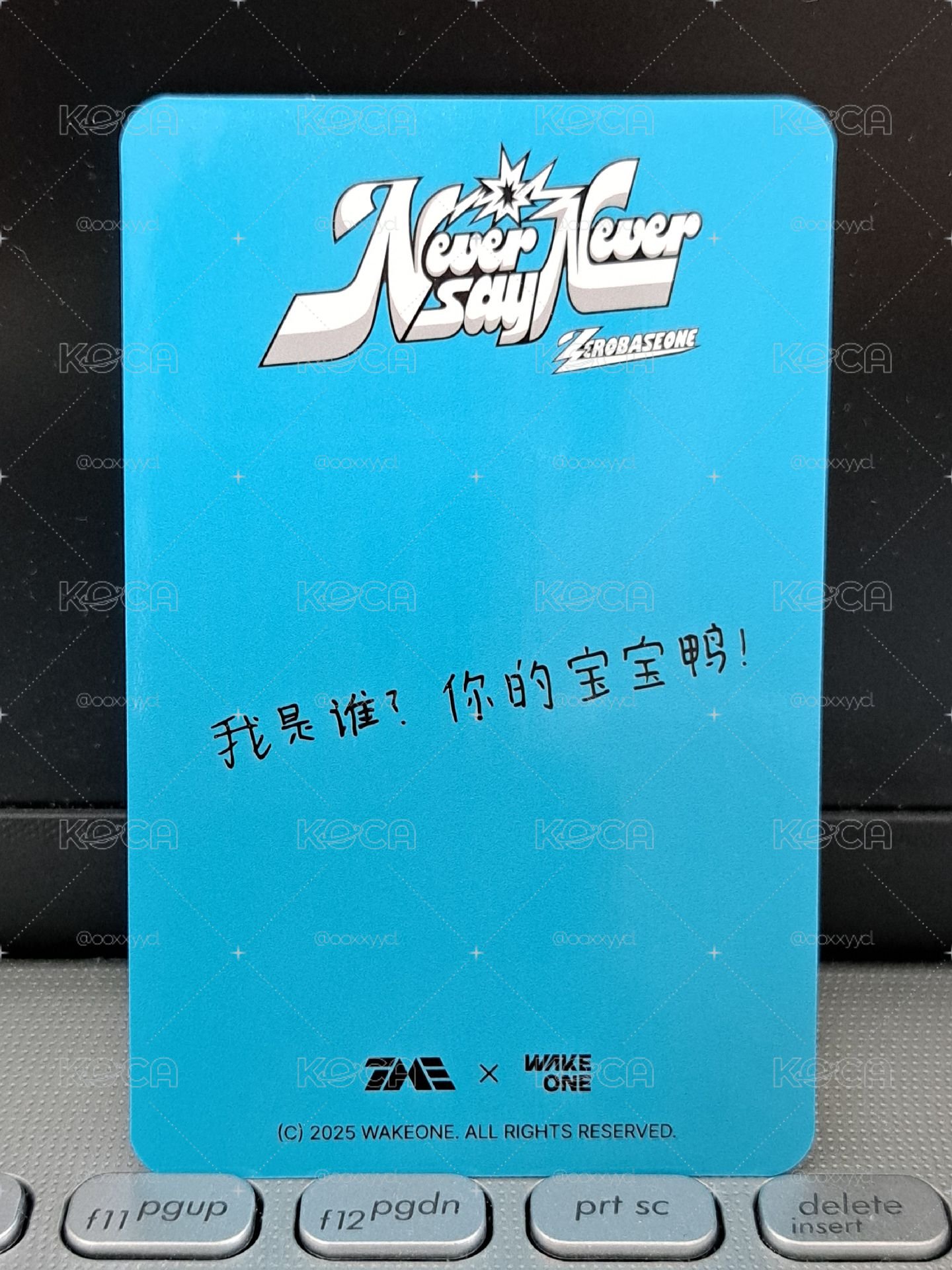 正規一 4星星光卡來 我是誰？你的寶寶鴨！