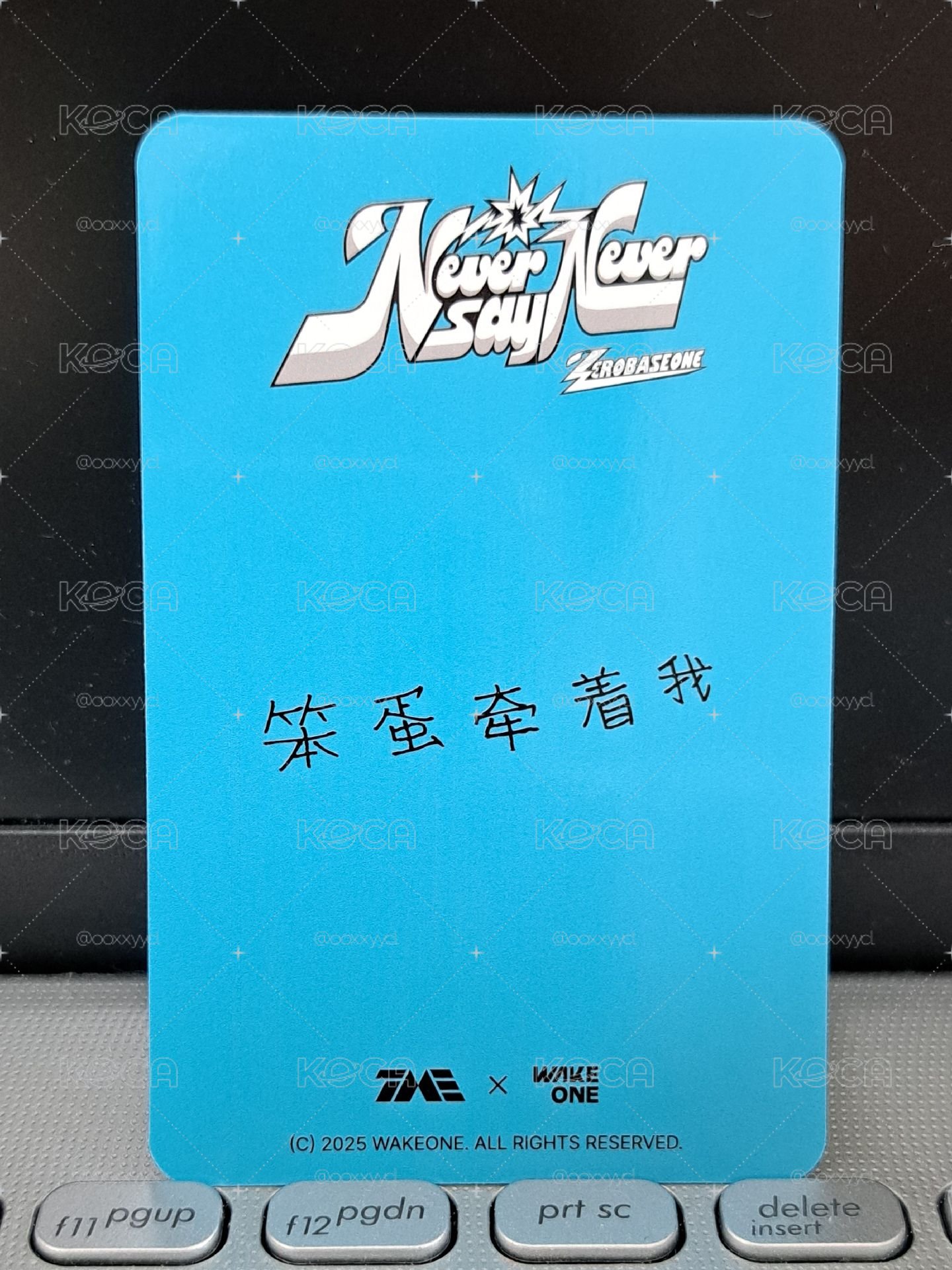正規一 4星星光卡旭 笨蛋牽著我