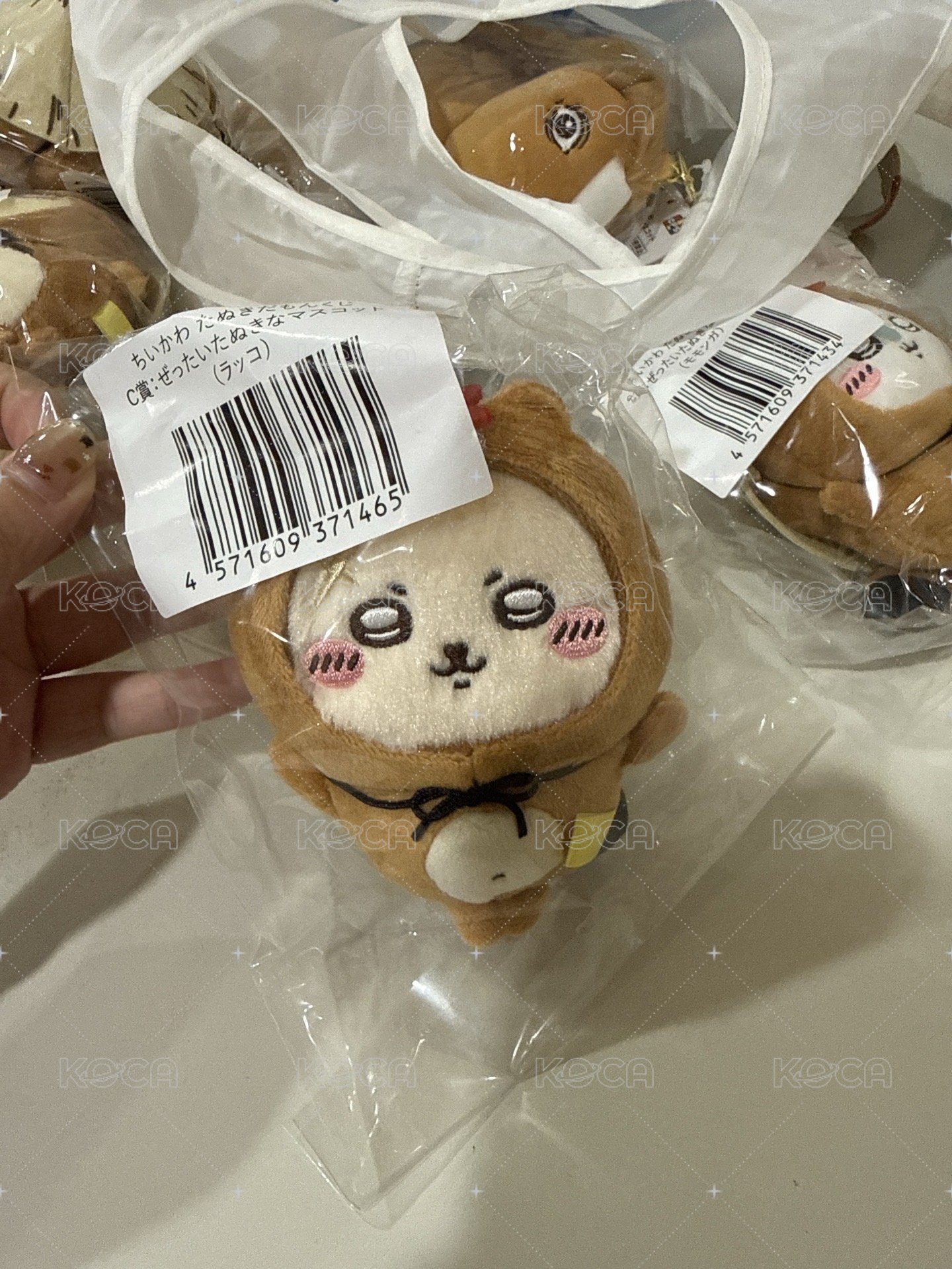 狸貓師傅