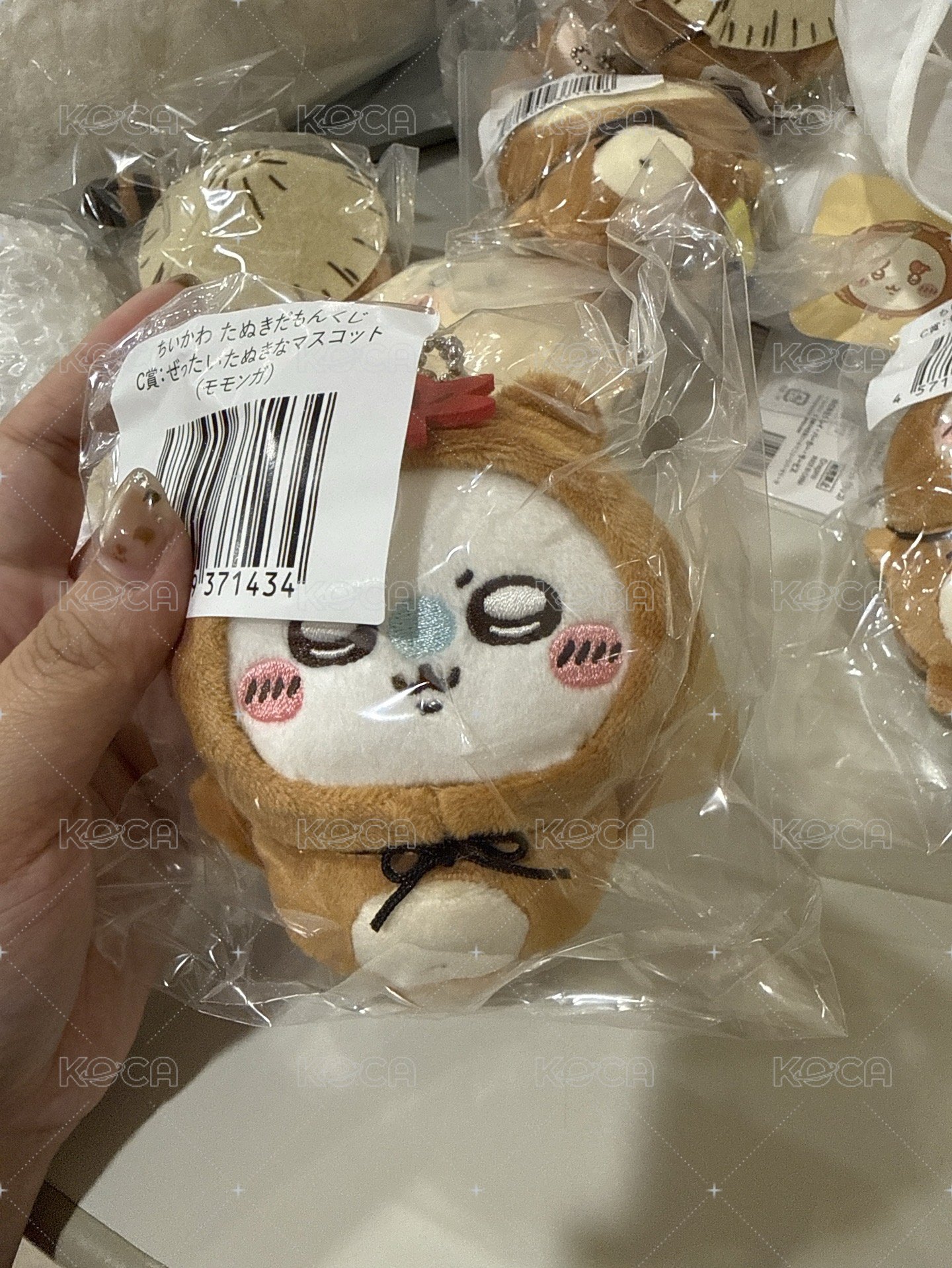 狸貓小桃