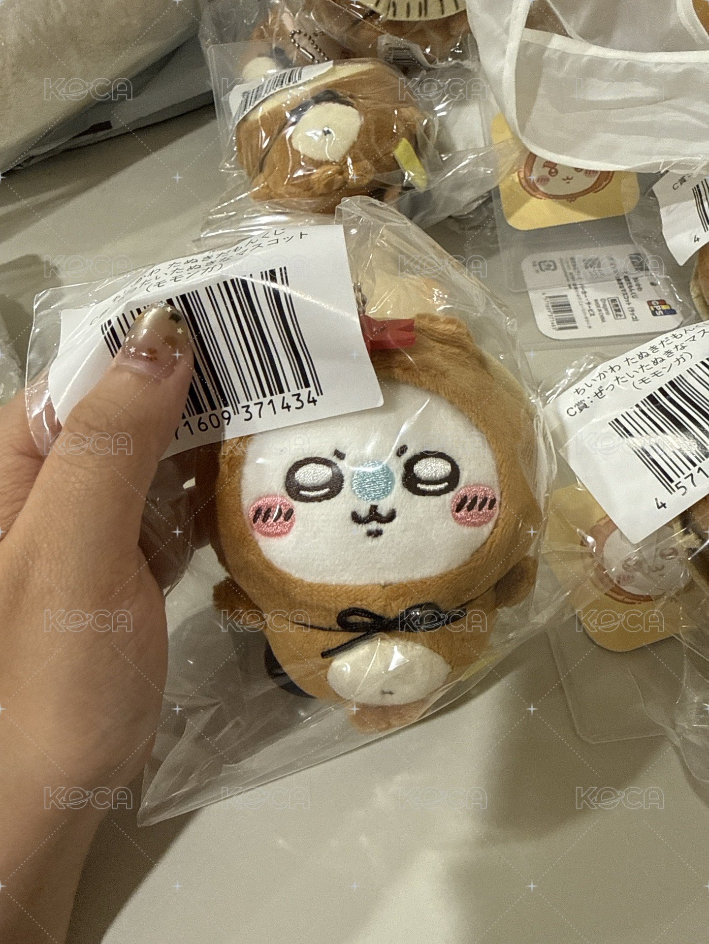 狸貓小桃
