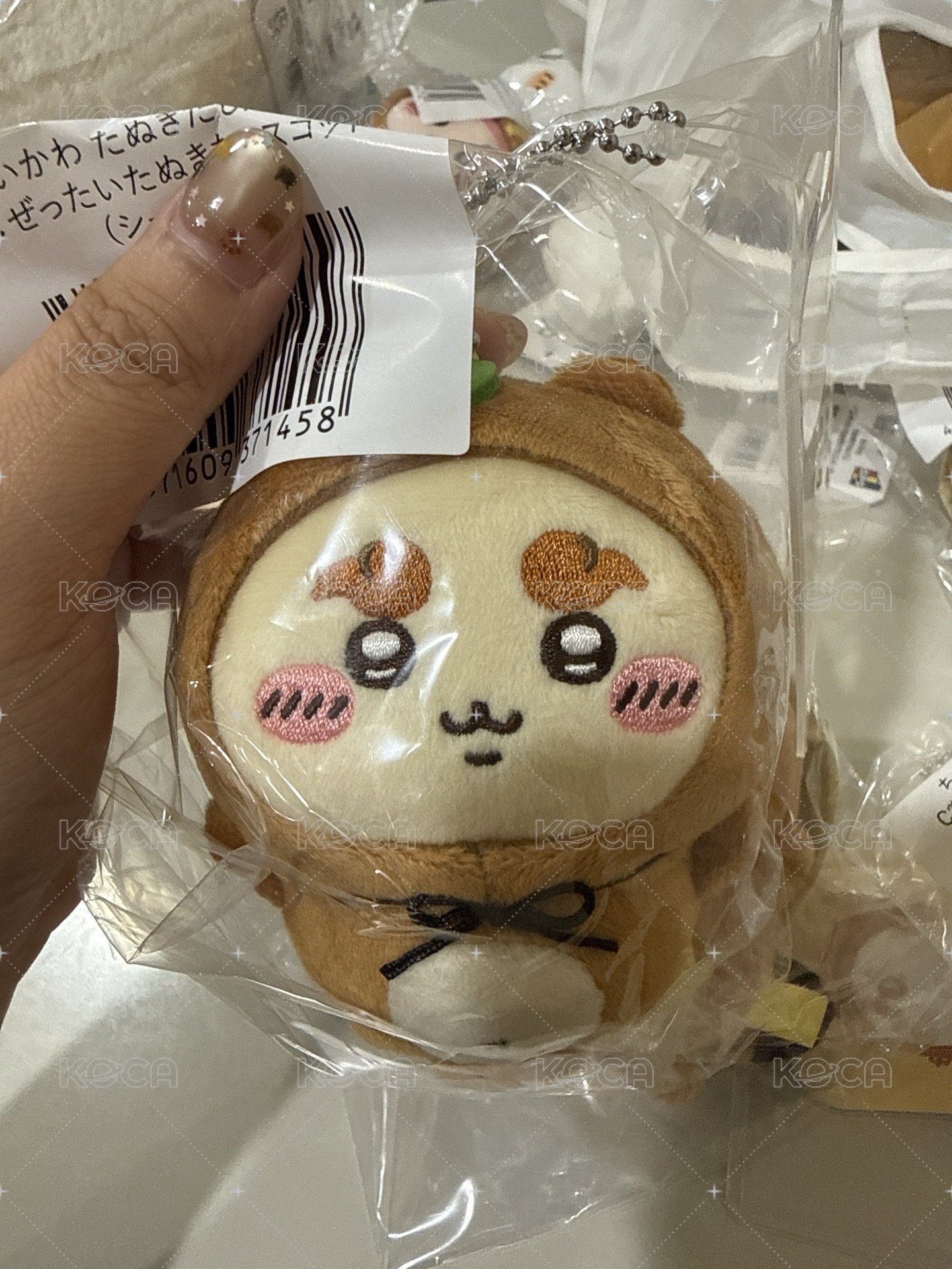 狸貓師薩