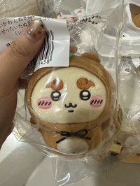 狸貓師薩