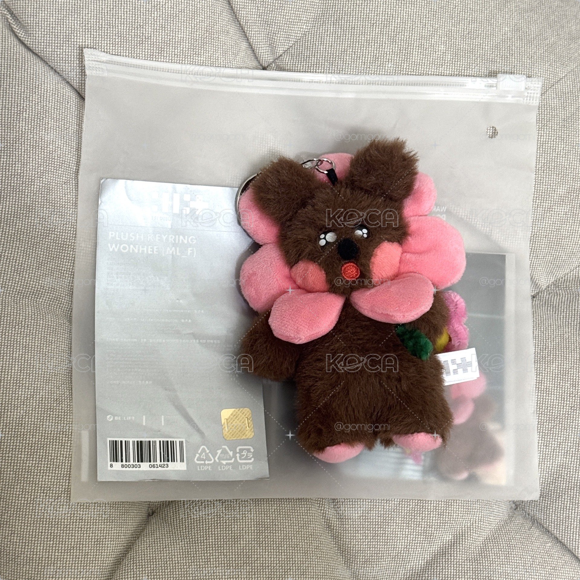 Wonhee一代娃