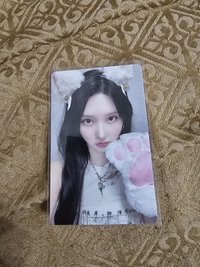 貓爪秋