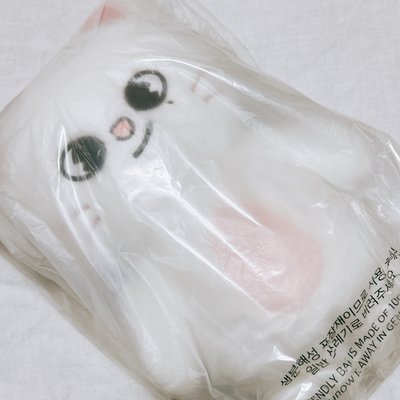 泰迪盤