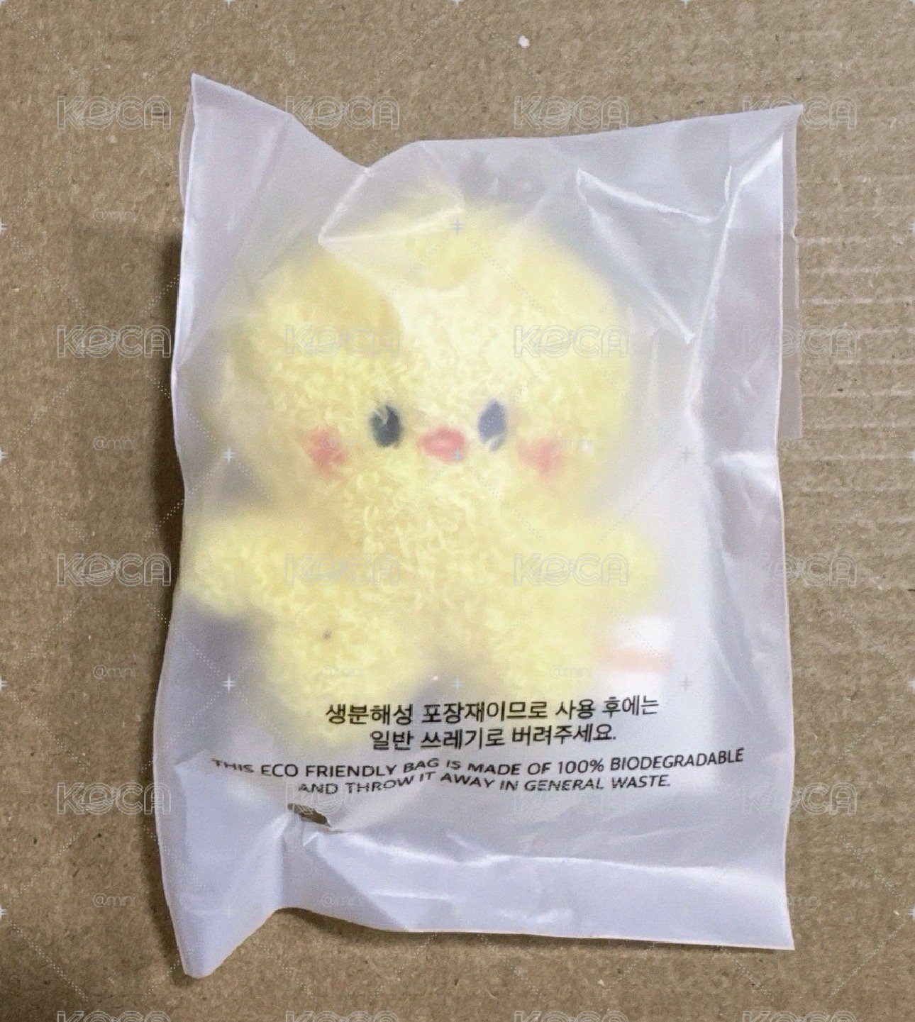 全新 潦草娃 菲