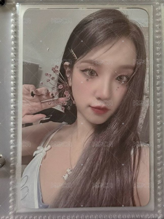 蝴蝶琦
