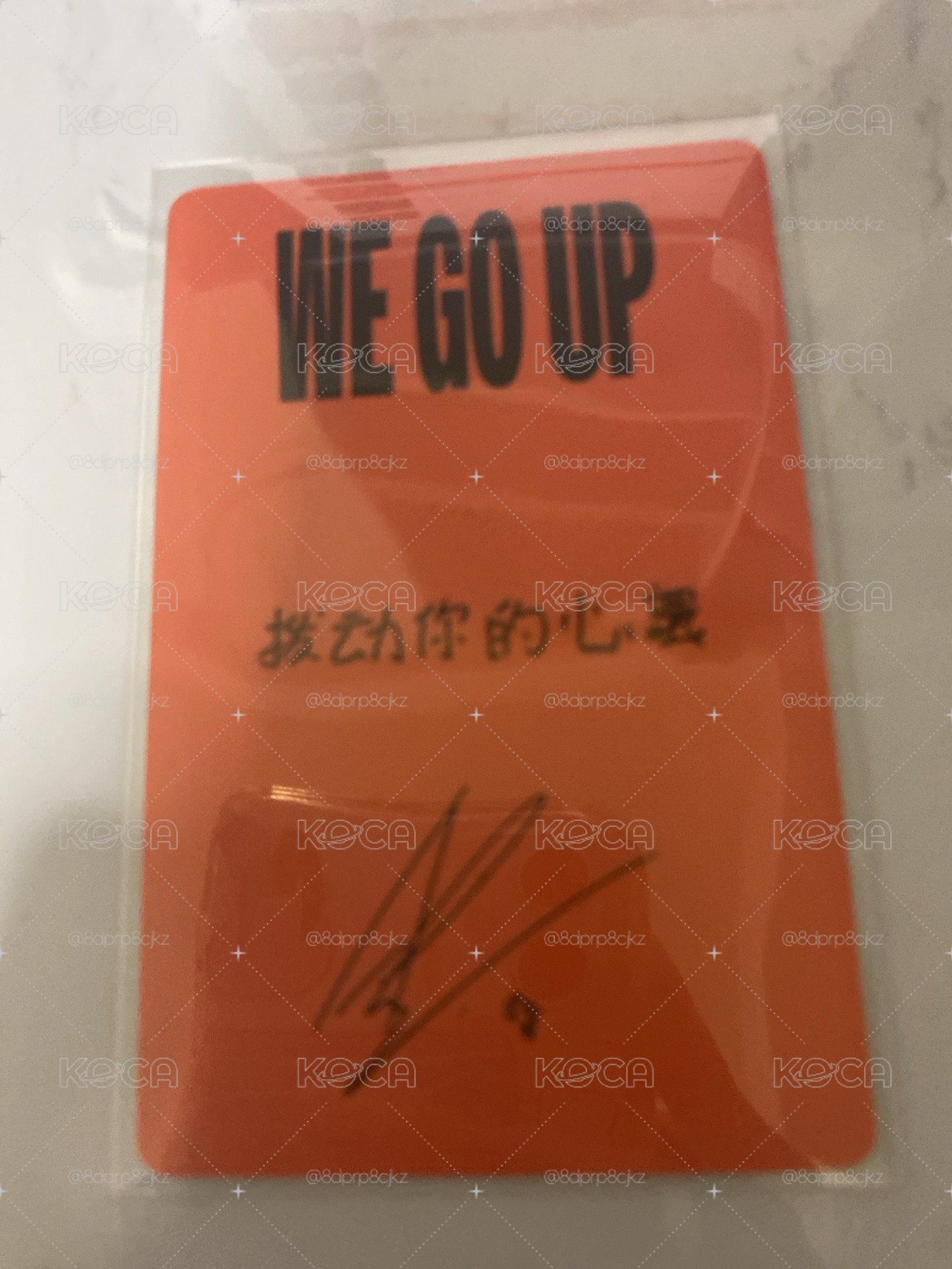 賢中背