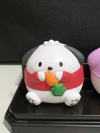 帕恰狗