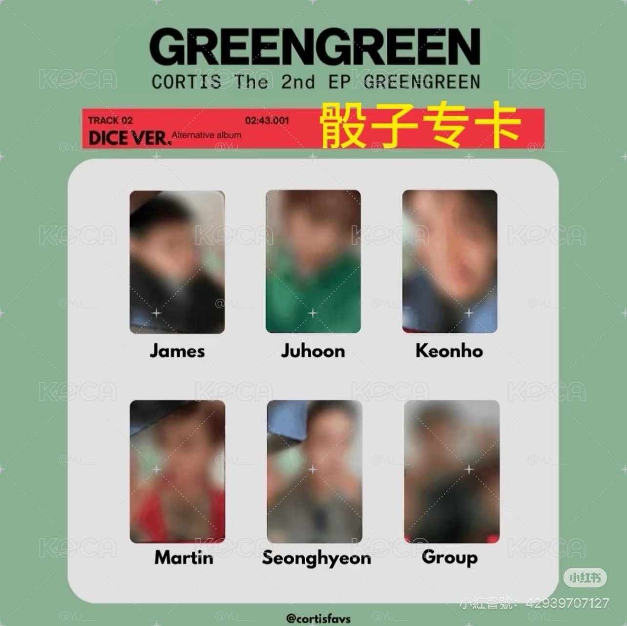 骰子卡一套
