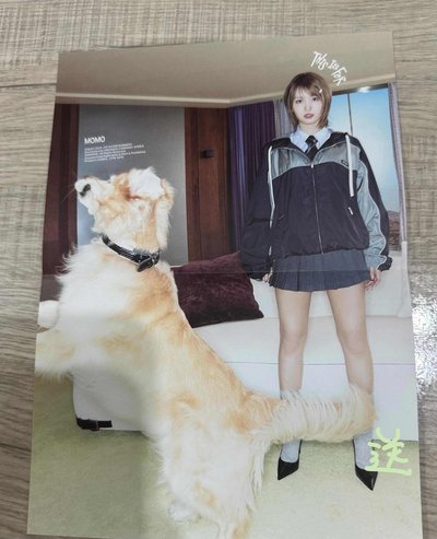 🐧桃卡盤
