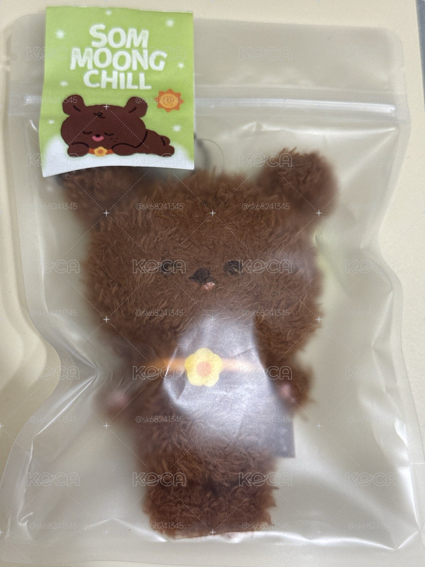 楷燦娃