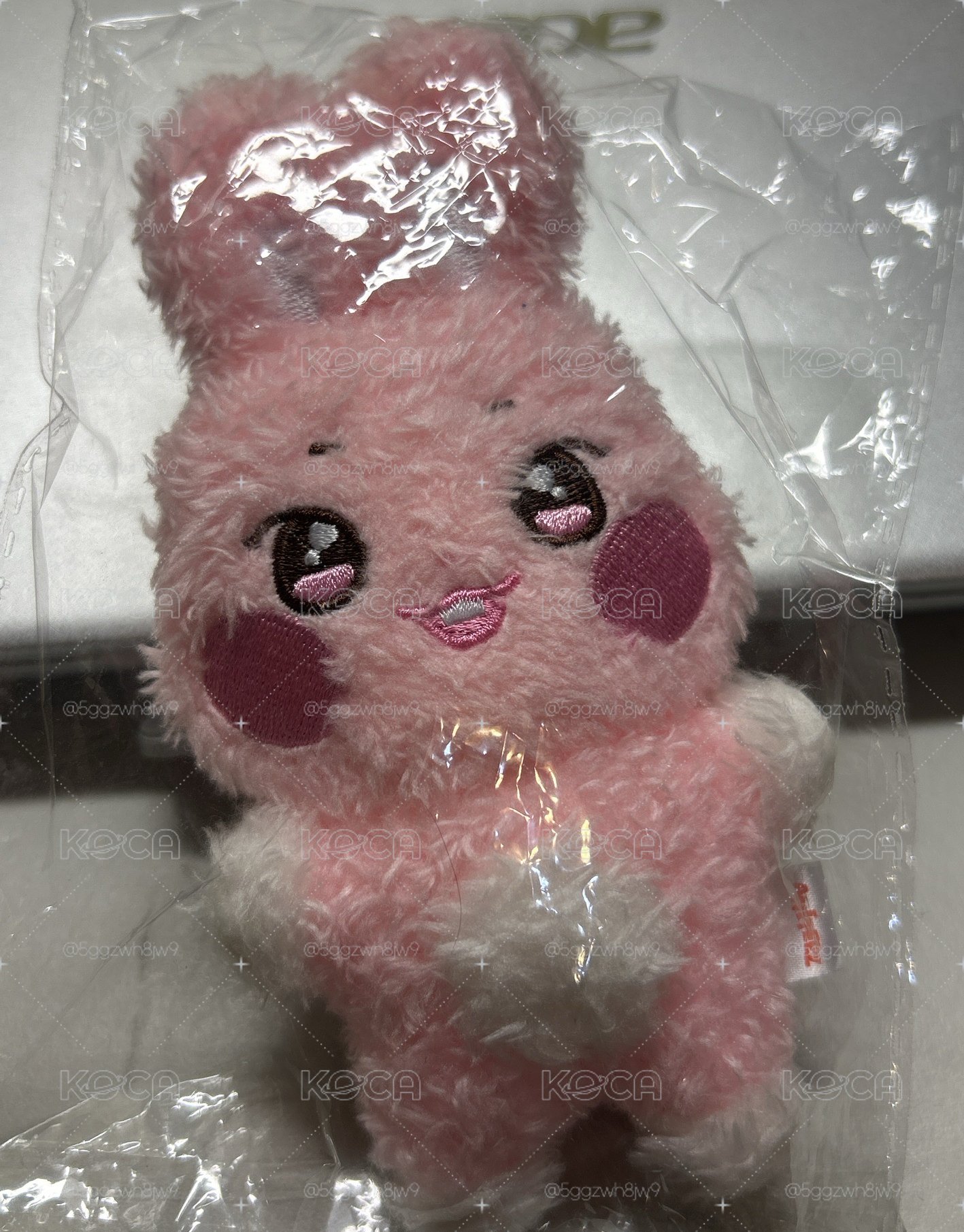 潦草星🐰