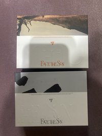 正四棕版