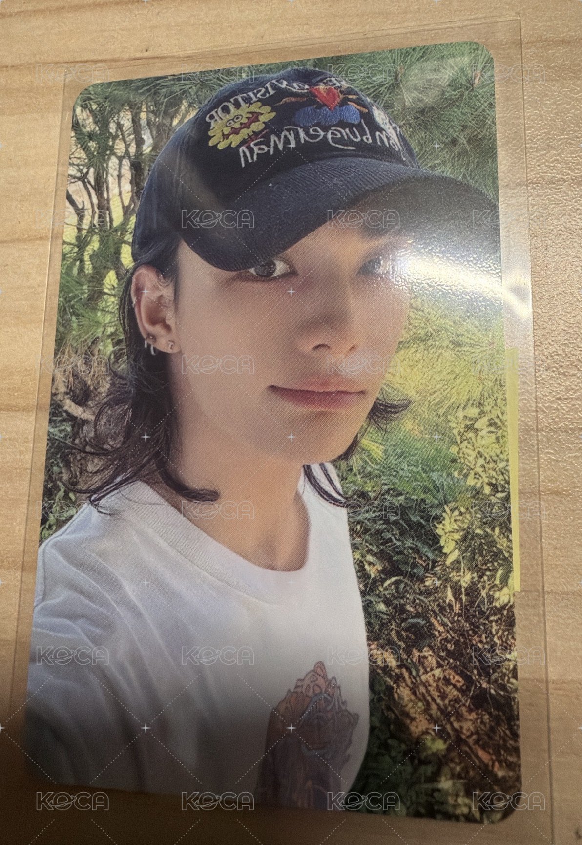 合dmm辰需帶綁區彰彬和燦1張懮先