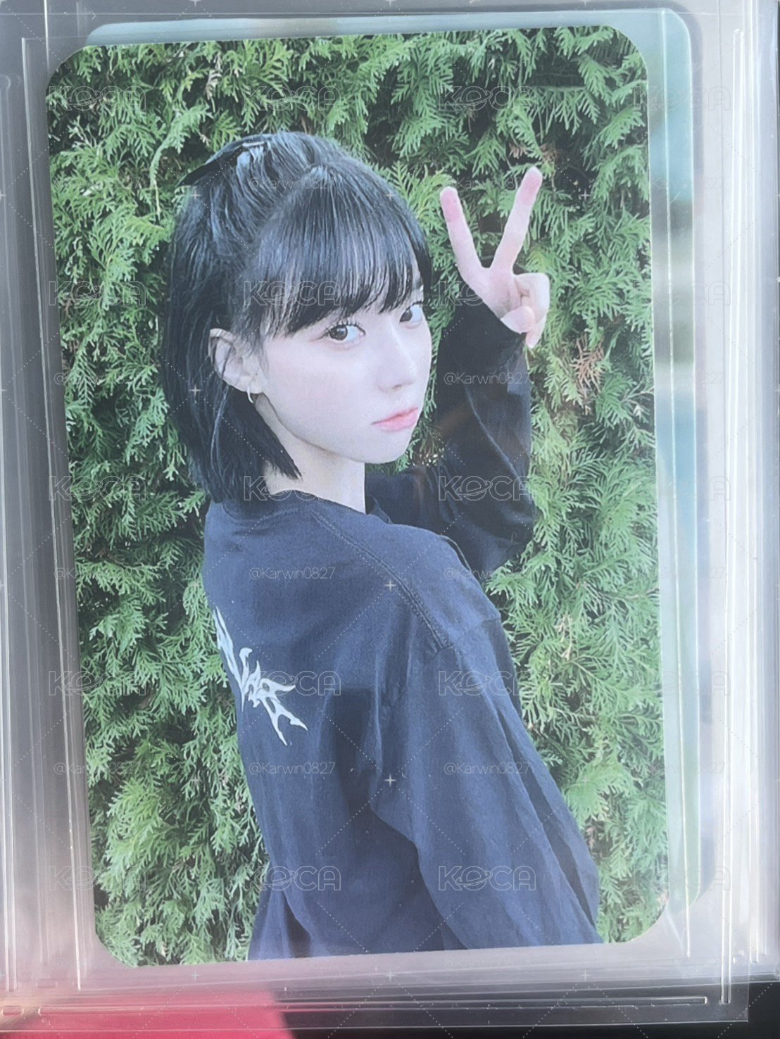 savage綠牆冬