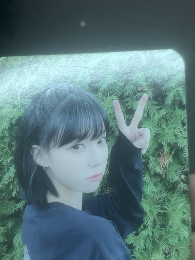 savage綠牆冬