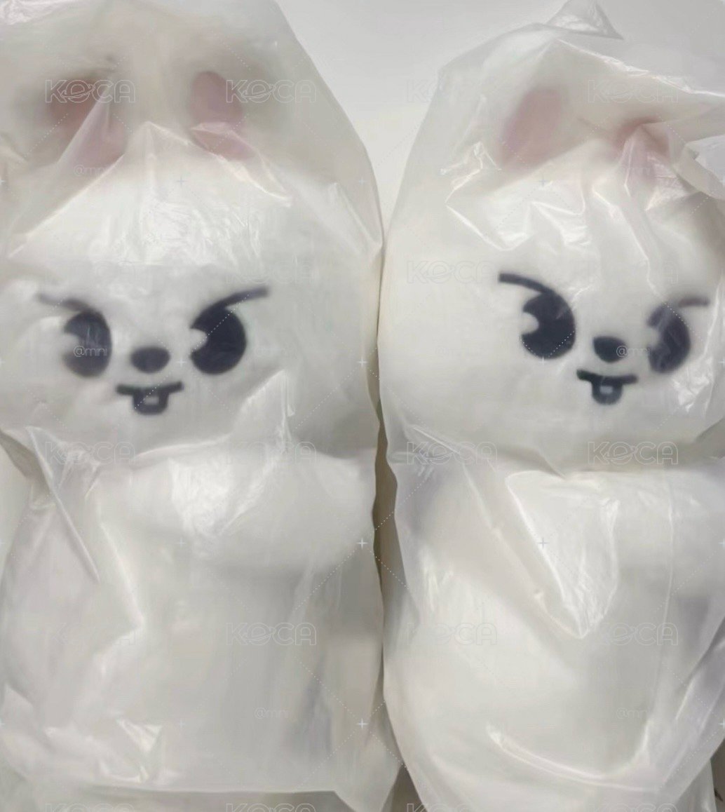 李畢 斜背娃 全新未拆