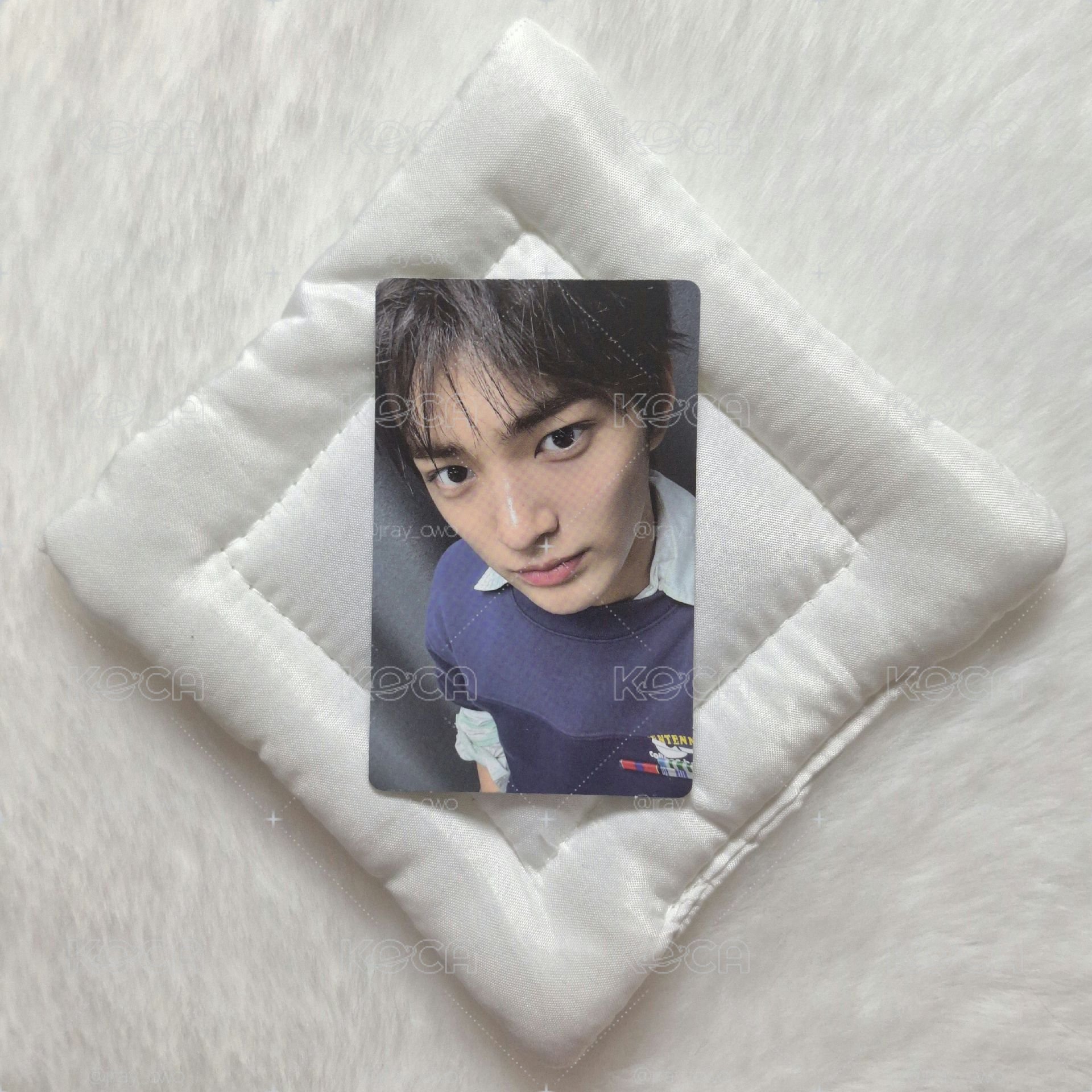 ✨️𝗖𝗢𝗥𝗧𝗜𝗦 ST鎬競標✨️