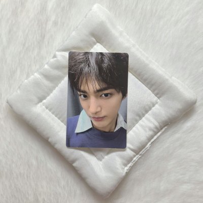 ✨️𝗖𝗢𝗥𝗧𝗜𝗦 ST鎬競標✨️