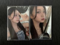 智兩張