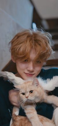 🦊