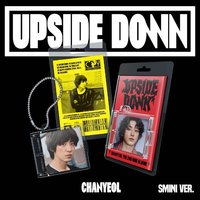 UPSIDE DOWN 電子專 SMini ver.